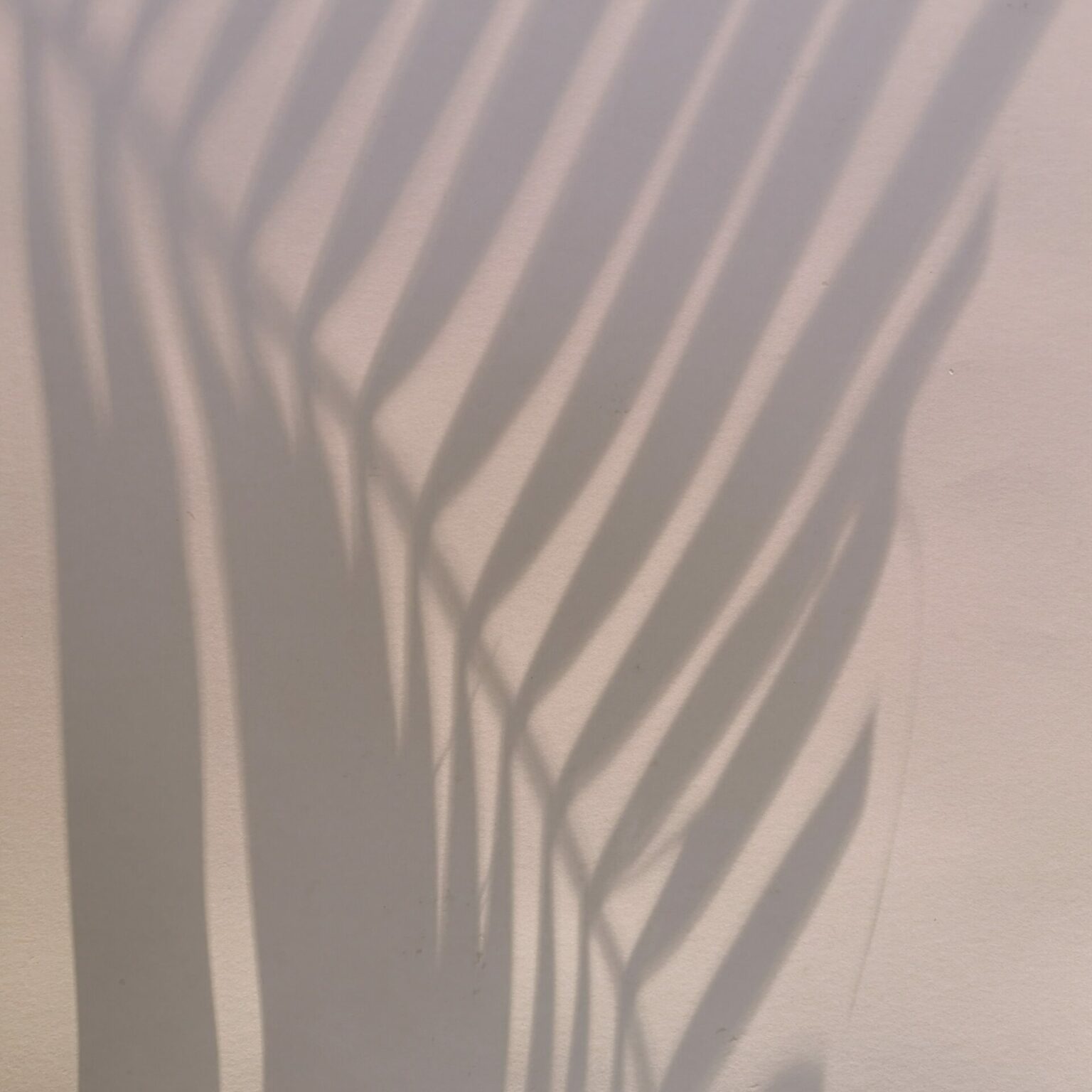 Ombre de palmier sur mur beige, illustrant un accompagnement apaisant en hypnose – sophrologie hypnose Andernos